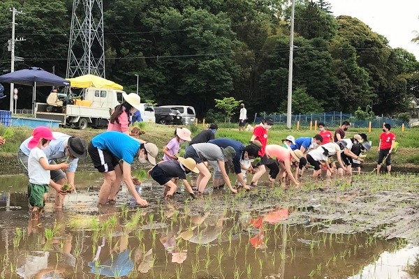 収穫米の一部を「こども食堂」へ寄付　パソナハートフル『稲刈り体験会』9月25日(土)開催のサブ画像1