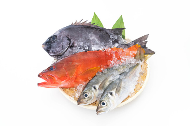 ゲームで釣れる魚が離島から自宅に届く！ツイッターキャンペーン「釣りスピリッツ ぱくぱくキャンペーン」9月6日(月)～10月31日(日)のサブ画像2_　鮮魚イメージ