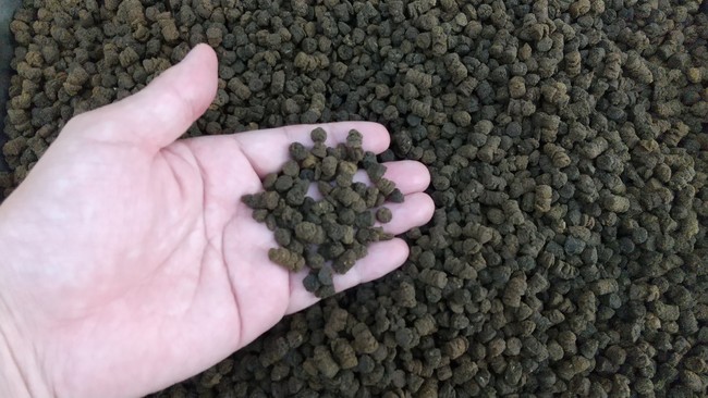 三重県多気町の未利用資源と微細藻類による飼料を給餌した「多気サステナブルサーモン」を開発のサブ画像3_多気ブランド飼料