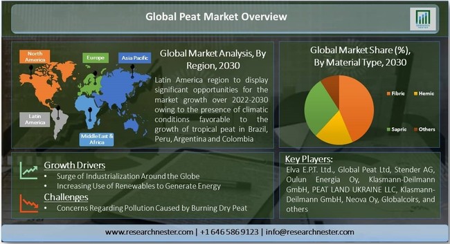 泥炭市場-材料タイプ別（繊維、ヘミック、サプリック、その他）;アプリケーション別（農業、家庭用、燃料およびエネルギー、医学、その他)–グローバル需要分析と機会の見通し2030年のサブ画像1