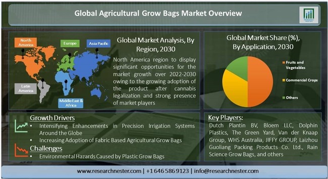 農業用グローバッグ市場-原材料（ファブリック、およびポリプロピレン）;製品別（直立、水平）;アプリケーション別（果物と野菜、商品作物、その他）–世界の需要分析と機会の見通し2030年のサブ画像1