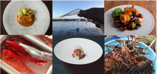 海の未来を考えるシェフチームの新たな挑戦   【Chefs for the Blue 京都】が始動！のサブ画像1
