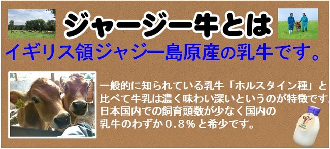 新発売！！”ジャージー牛乳使用の特別Ver.”ズバ抜けて美味しいソフトクリーム（ズバソフ）【株式会社マルト：平尼子店限定】のサブ画像6