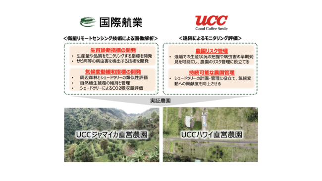 UCC上島珈琲と国際航業、衛星画像による持続可能なコーヒー農園の実現で協業のサブ画像1