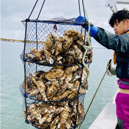 【新商品】鮮魚アプリ「SAKAMA（サカマ）」でサロマ湖のむき身牡蠣の予約販売を開始！のサブ画像2