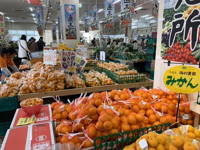 奈良県最大級の農産物直売所『旬の駅トドロキタウン店』11月1日ついにオープン！！のサブ画像4