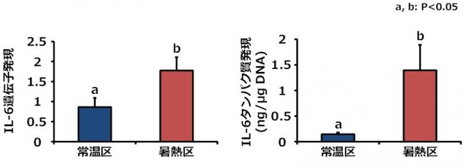 【岡山大学】夏季における牛の受胎率低下の一因を解明 ～猛暑は人間だけでなく、牛にも大きな影響～のサブ画像3