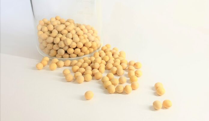 新公定法 (令和3年9月発表) による遺伝子組換え大豆検査の受託を開始のメイン画像