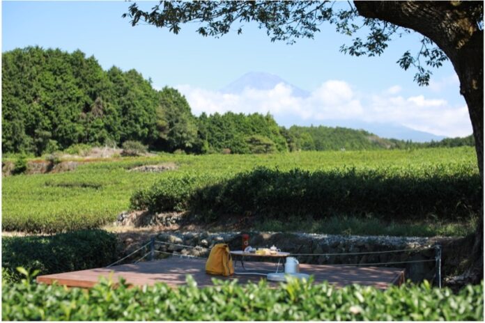 日本一の富士山と茶景を見渡す「大淵笹場の茶の間」10月16日（土）よりオープン！のメイン画像
