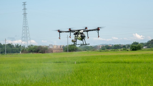 ドローン農薬散布のプロ集団「SKYAGRI」「国内最大規模のドローン一斉防除」を実施のサブ画像7