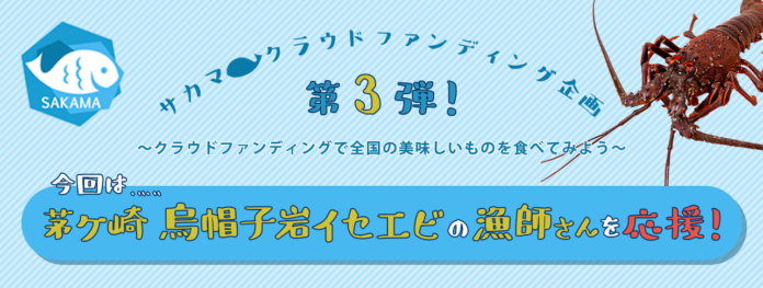 鮮魚通販アプリ「サカマアプリ」がクラウドファンディングに挑戦！茅ヶ崎で獲れる伊勢海老を食べて応援のメイン画像