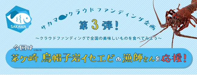 鮮魚通販アプリ「サカマアプリ」がクラウドファンディングに挑戦！茅ヶ崎で獲れる伊勢海老を食べて応援のサブ画像1
