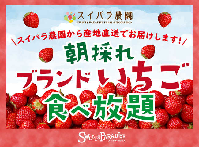 ～スイパラ農園組合農家直送～『朝採れブランドいちご食べ放題 』のサブ画像1