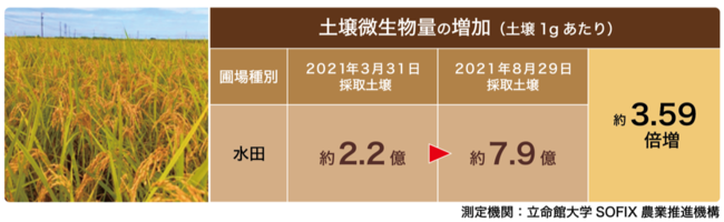 八百結び農法®《実証実験レポート》5ヶ月で土壌総微生物量（億個/g）が3倍に増加したことが明らかに！のサブ画像1