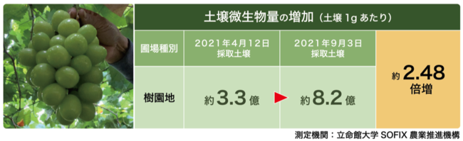 八百結び農法®《実証実験レポート》5ヶ月で土壌総微生物量（億個/g）が3倍に増加したことが明らかに！のサブ画像2