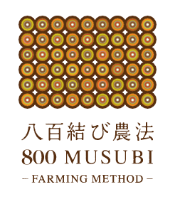 八百結び農法®《実証実験レポート》5ヶ月で土壌総微生物量（億個/g）が3倍に増加したことが明らかに！のサブ画像3