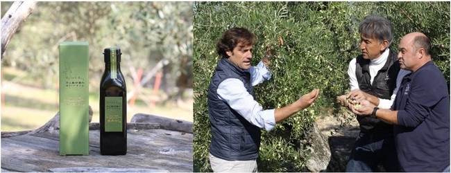 今だけ！旬の爽やかオイル  提携農家との絆で自然の恵みをより感じる「スペイン産 エキストラヴァージン緑果オリーブオイル」のサブ画像1