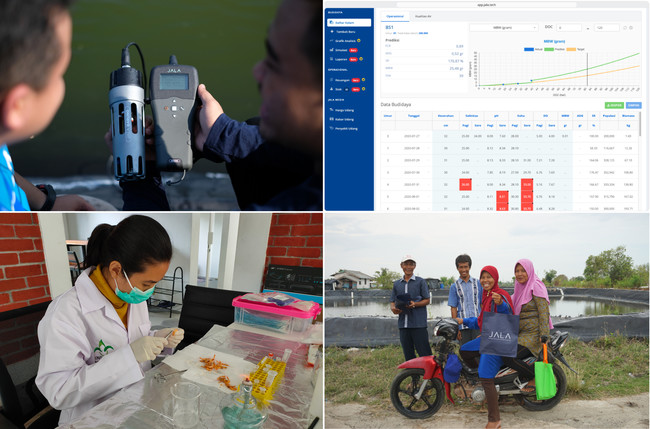 リアルテックファンド、データを活用したサステナブルなエビ養殖産業の実現を目指すインドネシア発ベンチャー、JALA Techに投資のサブ画像2