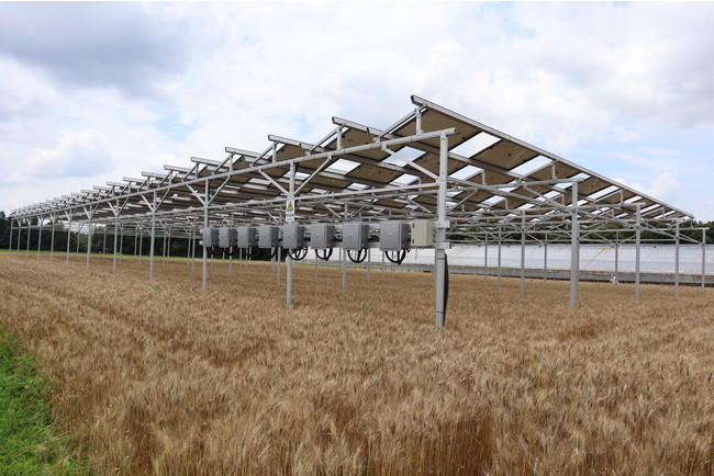 産直EC運営企業のポケットマルシェが、ソーラーシェアリング・電力小売事業に参入　「顔のみえる電力™️」を掲げる「みんな電力」と連携し、農家が作る再エネ100%の電気を販売のサブ画像3