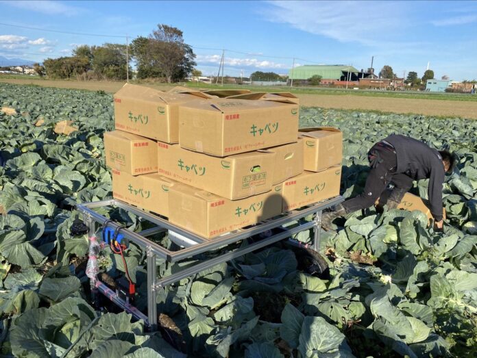 農家がロボットを開発！深谷市農家の主導で「キャベツ搬送ロボット」を開発のメイン画像