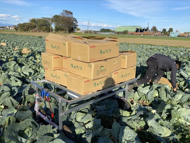 農家がロボットを開発！深谷市農家の主導で「キャベツ搬送ロボット」を開発のサブ画像1_200kgの積載が可能