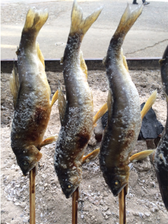 感染防止策を徹底、2年ぶりに日比谷公園で開催！ 第７回 ジャパン フィッシャーマンズ フェスティバル 2021～全国魚市場＆魚河岸まつり～ 同時開催「発見！ふくしまお魚まつり」のサブ画像9