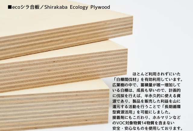 日本で初めて単板・合板メーカーとして「再エネ100宣言 RE Action（アールイー・アクション）」に参加のサブ画像2_ecoシラ合板