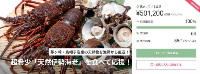 SAKAMAクラウドファンディング企画「茅ヶ崎で獲れる伊勢海老を食べて応援」で「100％」を達成！NEXTゴールへ挑戦スタート！のメイン画像