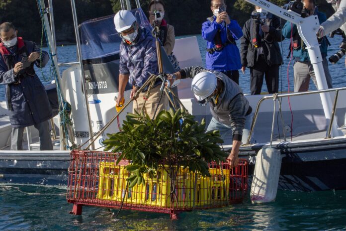 「小網代湾海底ワイン熟成プロジェクト」事業本格始動！過去最多1,700本を沈下します！のメイン画像