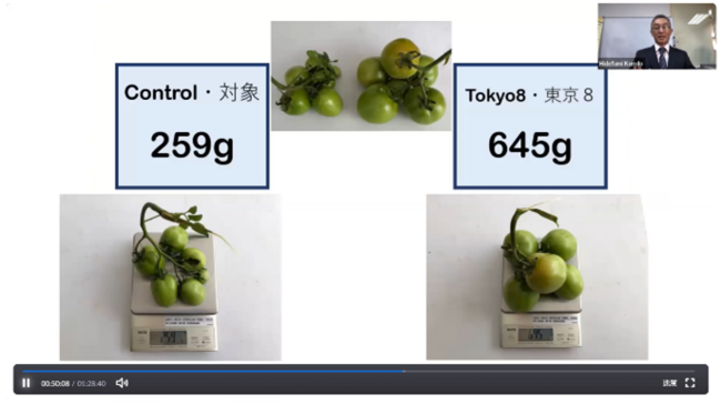 東京８農法×インドネシア農業　Zoomウェビナー「東京８栽培実験報告会」レポートのサブ画像2