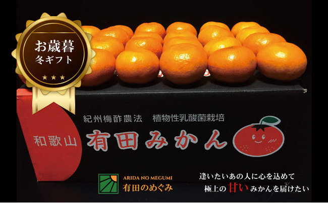 高リピート率「 有田のめぐみ 濃く甘いみかん」が、有田川町のふるさと納税の返礼品に採用。ふるさと納税サイトで提供開始しました。のサブ画像2_化粧箱入りでギフトにも最適