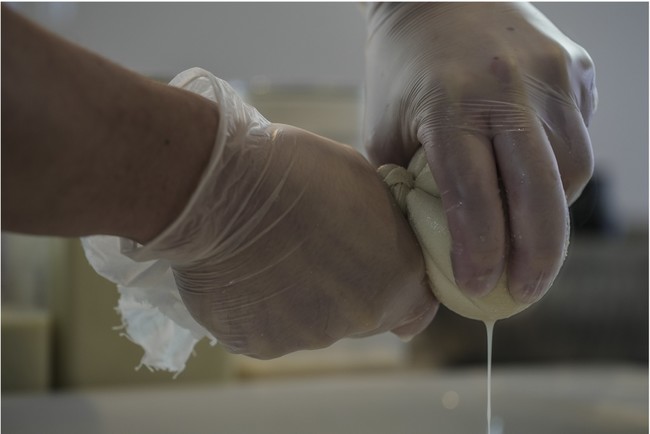限界集落 広島県の田万里町でつくられた自然栽培の大豆から生まれた「豆乳クリームチーズ」のサブ画像4