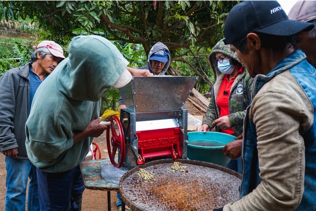 フィリピンコーヒー農家支援プロジェクト総額200万円を越える寄付が集まるのサブ画像2