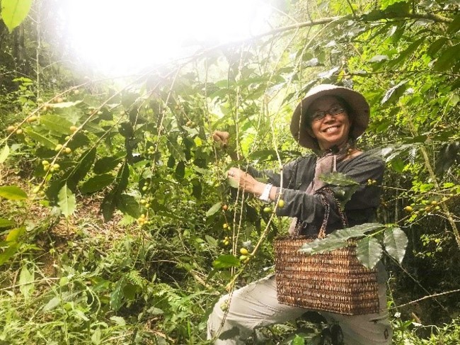 フィリピンコーヒー農家支援プロジェクト総額200万円を越える寄付が集まるのサブ画像9