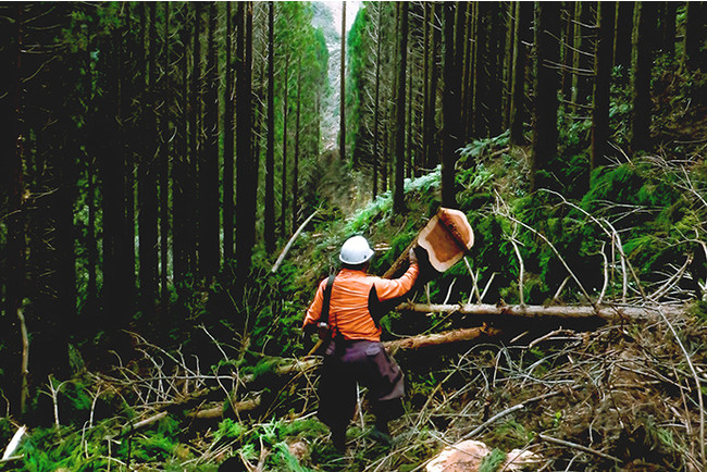 日本一の林業を目指す耳川広域森林組合と放置竹林の課題解決を目指すLOCAL BAMBOOが業務提携のサブ画像2