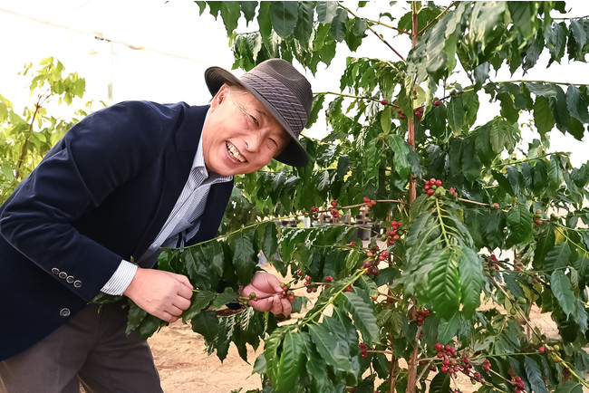 やまこうファームが《国産コーヒー》の初収穫に成功。本州で日本国産のコーヒー栽培が可能に。のサブ画像2_（やまこうファーム株式会社　代表：山本　耕祐）