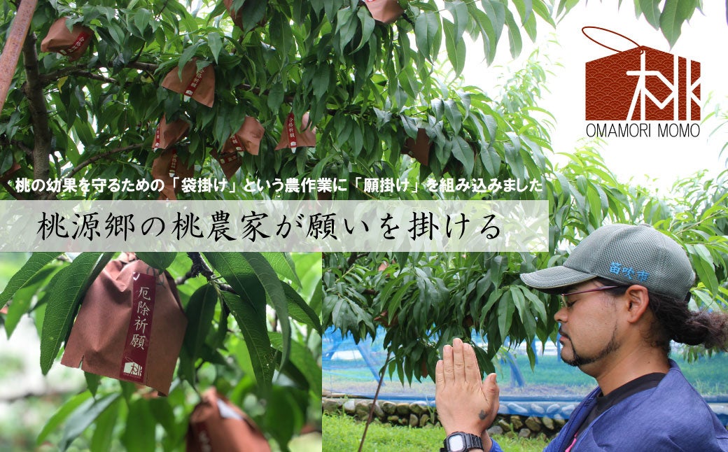 【予約受付中】美味しく食べた後にお守りになる桃【御守桃】販売！のサブ画像4