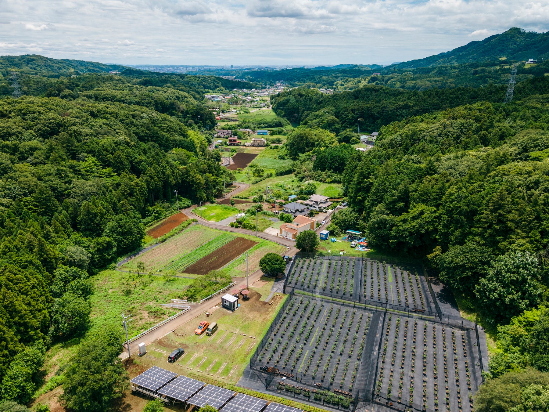 完全予約制のブルーベリー摘み取り観光農園がグランドオープン（神奈川県厚木市）のサブ画像5_自然の中で楽しむブルーベリー体験