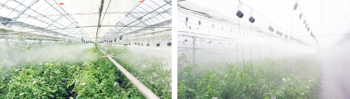施設園芸・植物工場展（GPEC 2022）に、根域環境制御が可能な噴霧水耕システム「IKEUCHIPonics（イケウチポニックス）」を出展します。のサブ画像4_セミドライフォグ®を噴霧するミスト冷房／加湿／防除システム、薬液散布作業の無人化を実現します。
