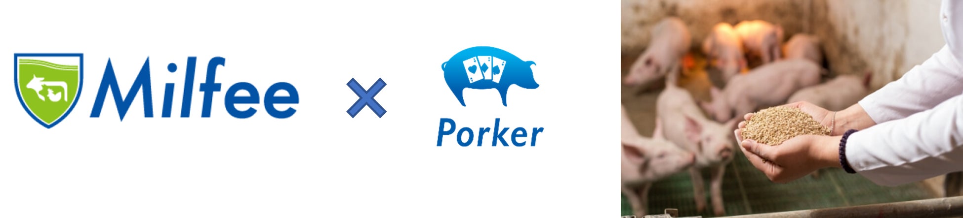 養豚テックスタートアップEco-Pork、YEデジタルと共に養豚産業における生産性「飼料効率（※）」向上を支援！のサブ画像1