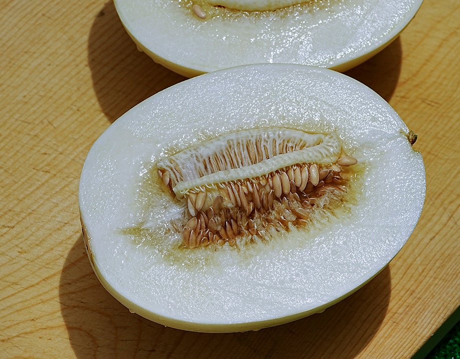 奈良・萩原農場の育成した新品種は、甘くて酸っぱい？！おいしいメロン「 サワースウィート 」のお取り寄せのサブ画像2