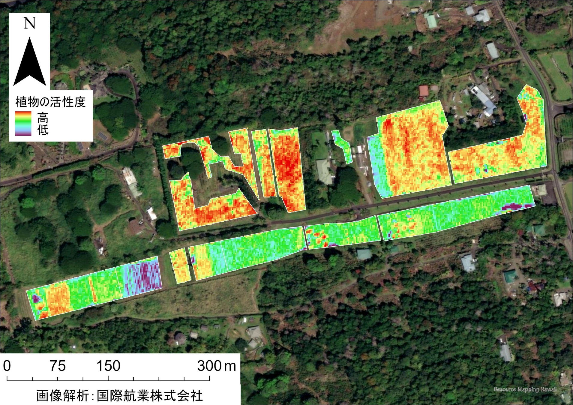 UCCと国際航業、衛星データによる持続可能なコーヒー栽培を推進のサブ画像1_UCCハワイコナコーヒー直営農園における衛星画像解析イメージ