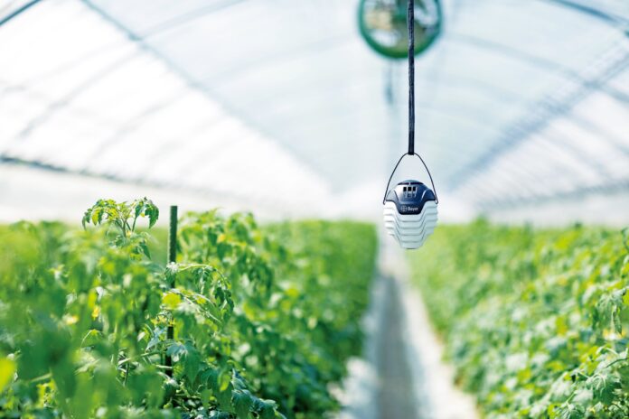 バイエル クロップサイエンスのハウス栽培向けのモニタリングサービス「Plantect®」、「農業イノベーション大賞2022」の選考委員会特別賞を受賞のメイン画像