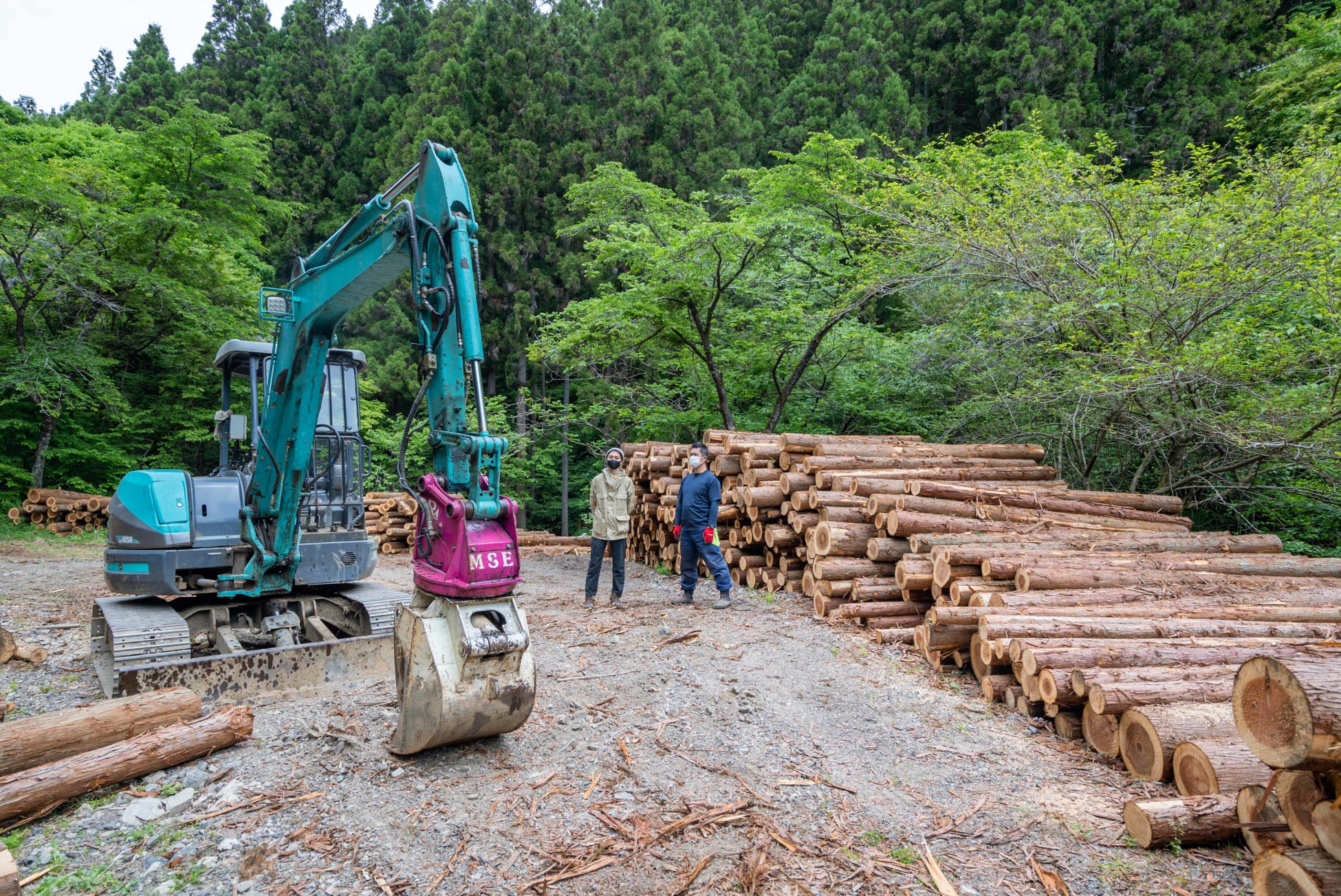 東京の木 多摩産材のブランド化に取り組む、一般社団法人TOKYO WOOD普及協会、国土交通省「地域型住宅グリーン化事業（安定的な木材確保体制整備事業）」採択のサブ画像4_伐採した木を集積する土場