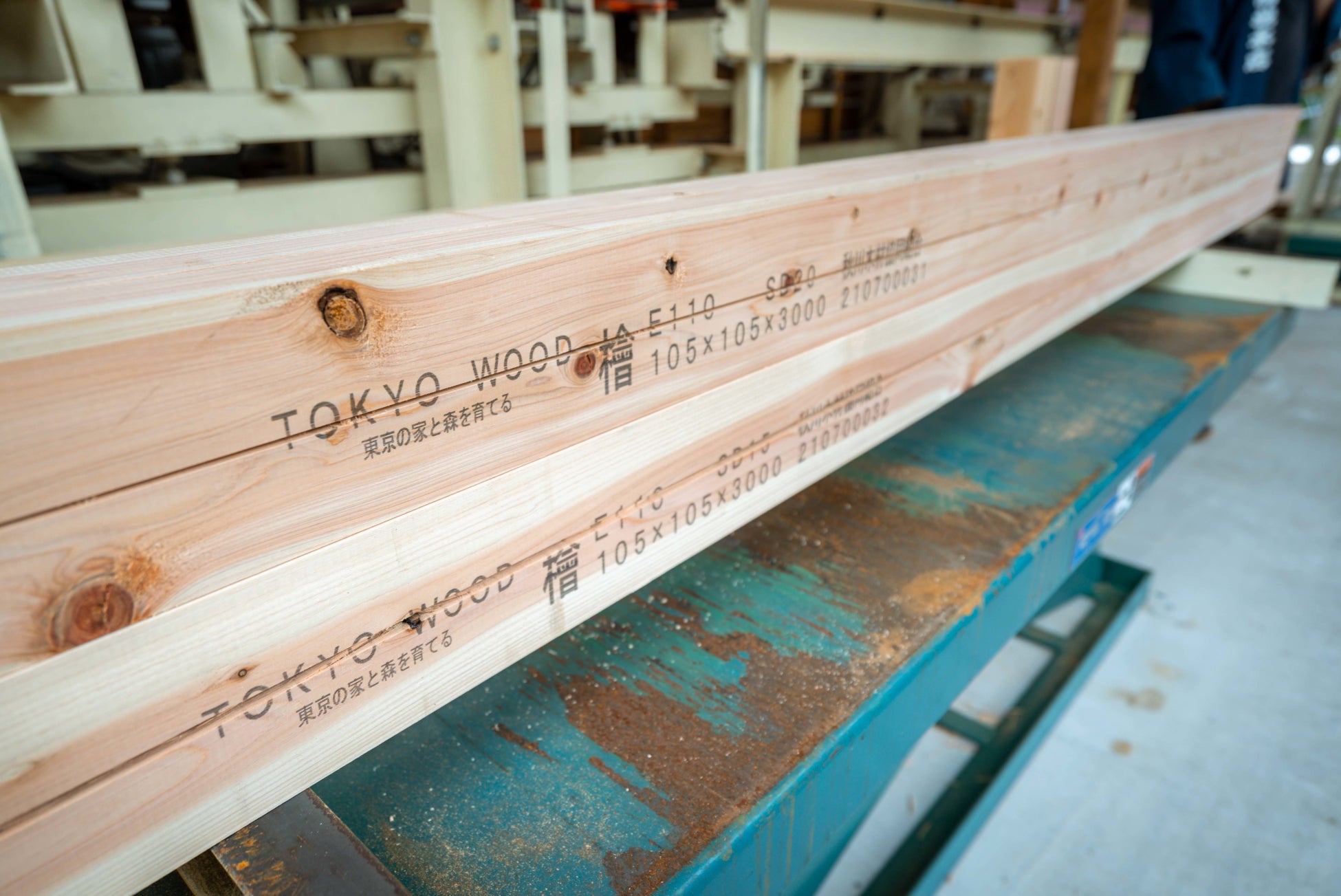 東京の木 多摩産材のブランド化に取り組む、一般社団法人TOKYO WOOD普及協会、国土交通省「地域型住宅グリーン化事業（安定的な木材確保体制整備事業）」採択のサブ画像5_TOKYO WOODの柱