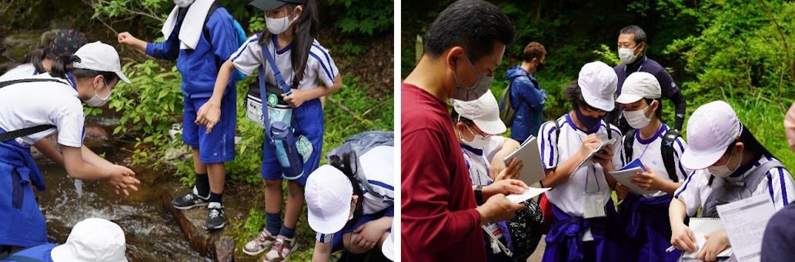 京丹後の美しき豊かな海の理由に迫る！伝統的なワカメ漁から小学生が得たこととはのサブ画像2