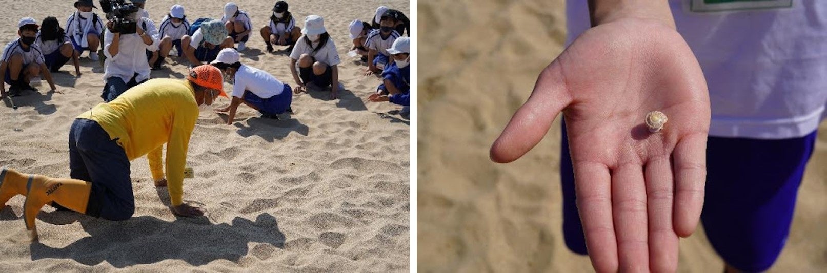 京丹後の美しき豊かな海の理由に迫る！伝統的なワカメ漁から小学生が得たこととはのサブ画像4