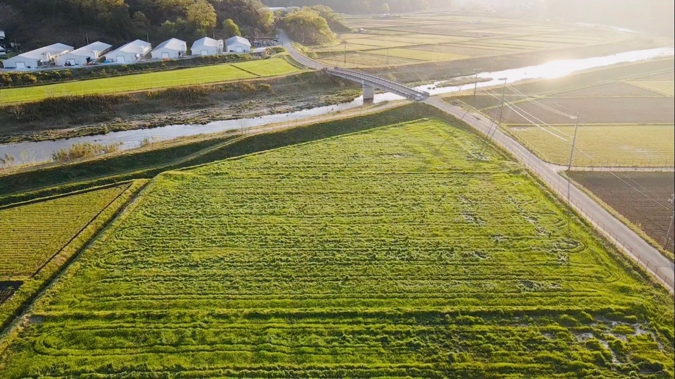 【大注目！】農業×ドローンで実現する最新のスマート農業のサブ画像3_兵庫県豊岡市　ドローンで牧草の種をまき、５ヶ月が経過した写真