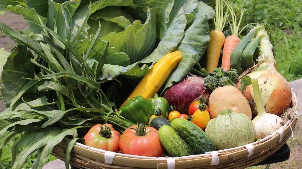 旬の野菜やアクセサリー、雑貨がいっぱい！福祉事業施設と農家による「ふれあいマルシェ」、7月24日（日）開催のお知らせのサブ画像5_プローバベジモ　無農薬・無化学肥料野菜