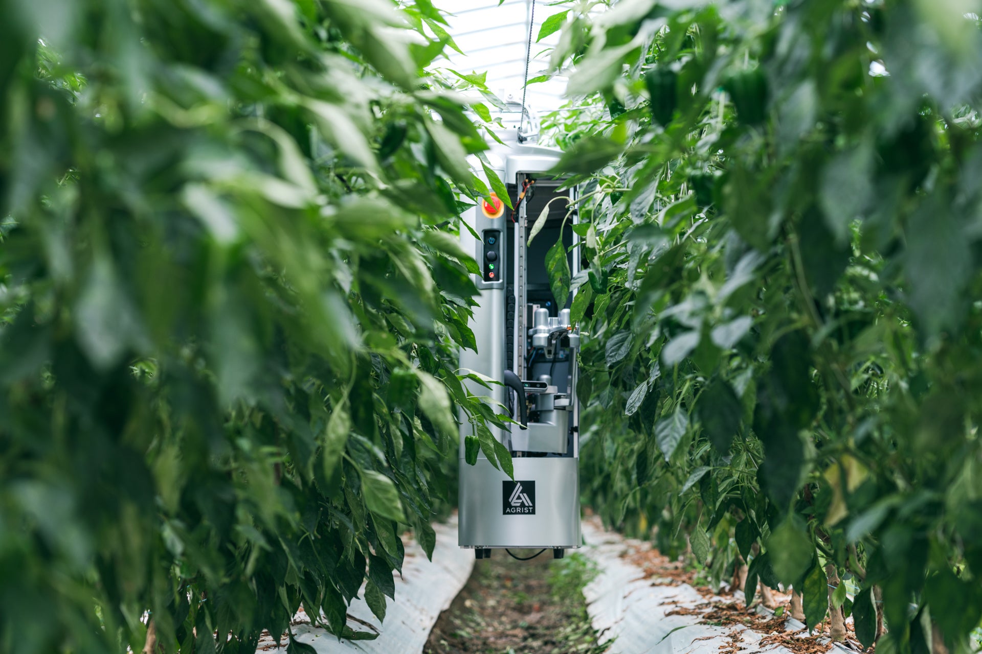 GMOドリームウェーブと農業ロボットベンチャーのAGRISTが新たな農福連携の形に向けた取り組みを開始のサブ画像3